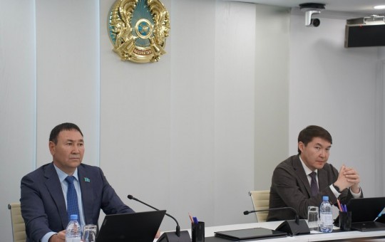 Астана қаласында қоғамдық тәртіпті қамтамасыз етуге бағытталған кешенді шараларды жүргізу мәселесі бойынша кезекті сессия
