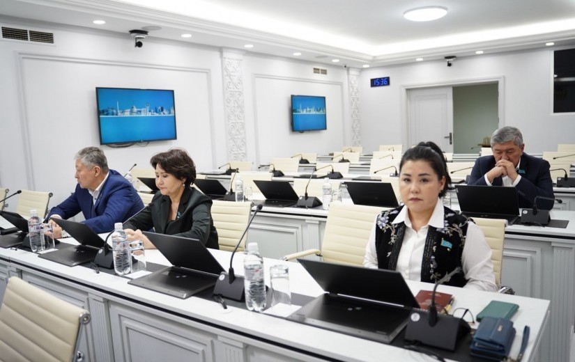 Елорданың дизайн-кодын бекіту жөніндегі тұрақты комиссияның отырысы