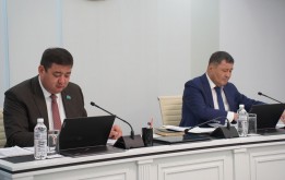 Елорданың инвестициялық жобаларын бағалау көрсеткіштері