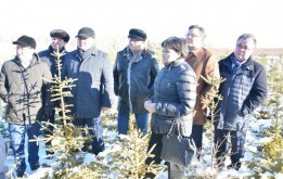 Сохраним и приумножим лес