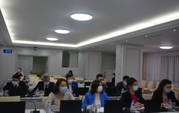 Заседание постоянной комиссии по вопросам внесения изменений в решения по оказанию социальной помощи  и проектам ГЧП