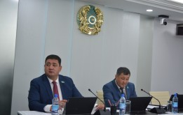 В столичном маслихате обсудили вопросы реализации проектов ГЧП