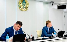 Депутаттар елорданы абаттандыру және көгалдандыру мәселелерін қарастырды