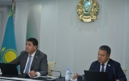 О ходе исполнения решения маслихата об утверждении Правил размещения наружной рекламы