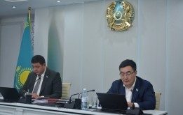 Депутаты обсуждают вопрос отчуждения земельных участков