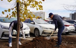 В районе Сарайшық появилась Аллея рабочих профессий