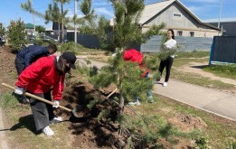 Замечания горожан на особом контроле столичного маслихата