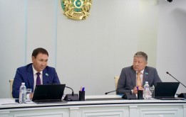 День депутата: проблемные вопросы  оказания скорой медицинской помощи населению столицы