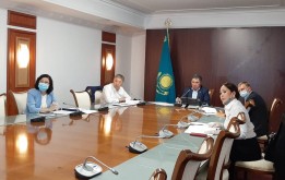 Правила отлова и уничтожения бродячих собак и кошек в столице