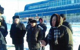 Новые деревья обретут дом