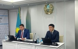 Очередная сессия по вопросам оказания неотложной помощи детям