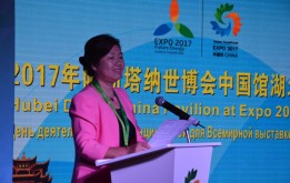 Аспан асты елінің Провинциясы маслихат депутаттарын несімен таң қалдырды?