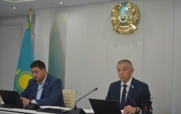 Проблемные вопросы содержания животных в столице