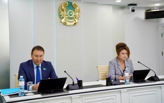 Депутаттар бюджет қаражатын жарықтандыру мен сәндік жарықтандыруға пайдалану мәселелерін қарастырды