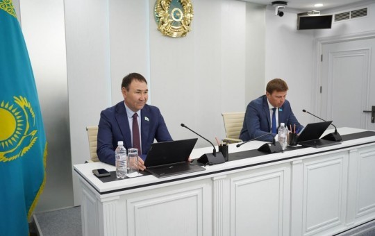 Заседание комиссии: вопросы озеленения   и учёта зелёных насаждений столицы