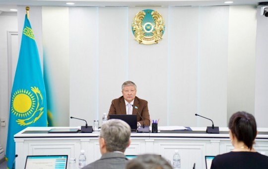 Кедергісіз қалалық инфрақұрылымды құру мәселелері жөніндегі тұрақты комиссияның отырысы