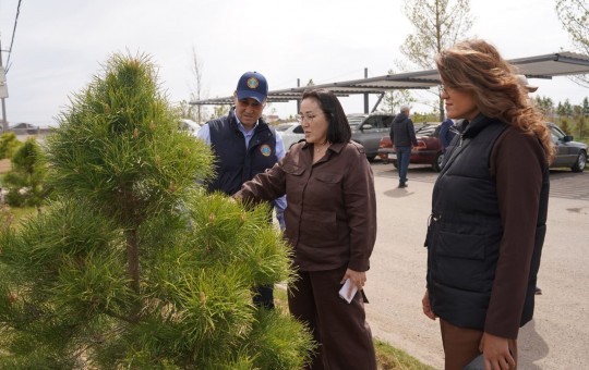 Депутаттар Жібек жолы кентіндегі сәндік өсімдіктер питомнигінің жұмысымен танысты