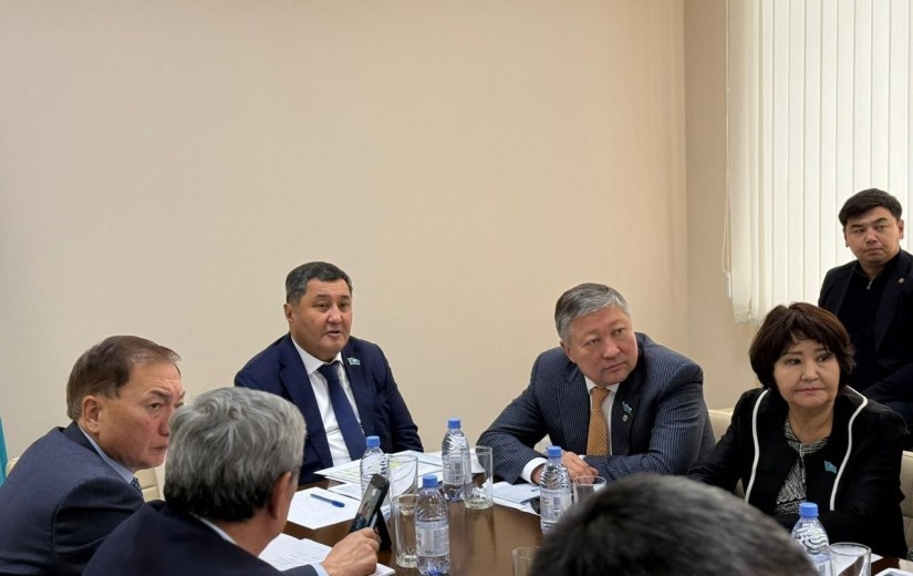 Депутаты маслихата завершили рабочие встречи с районами столицы