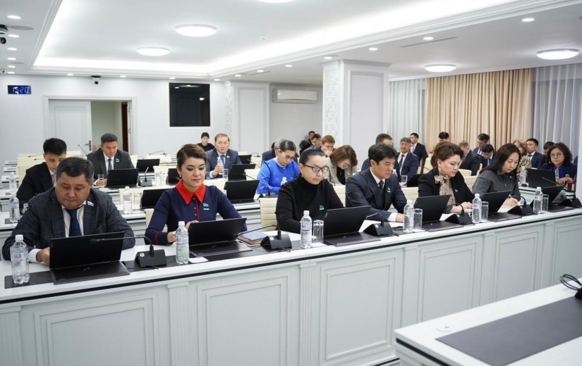 Депутаты обсудили проект бюджета на 2026-2028 годы в сфере социально-культурного развития