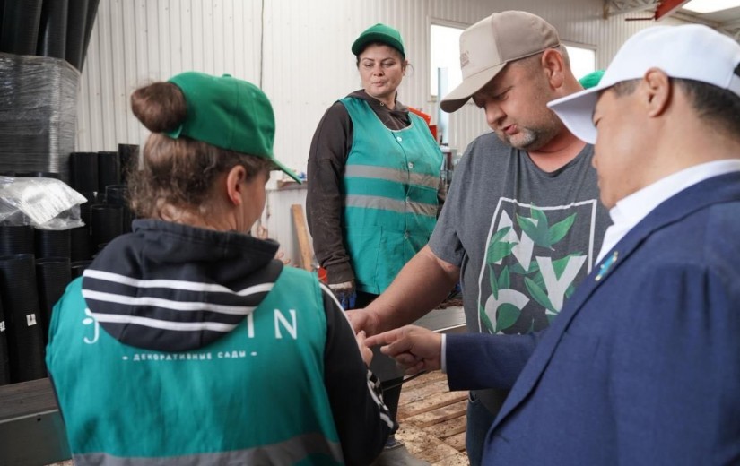 Депутаттар Жібек жолы кентіндегі сәндік өсімдіктер питомнигінің жұмысымен танысты