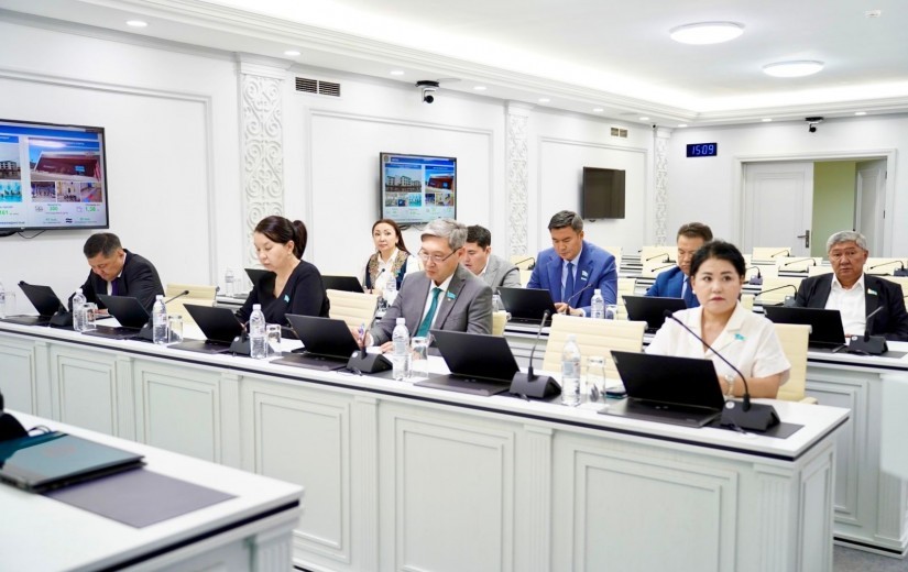Кедергісіз қалалық инфрақұрылымды құру мәселелері жөніндегі тұрақты комиссияның отырысы