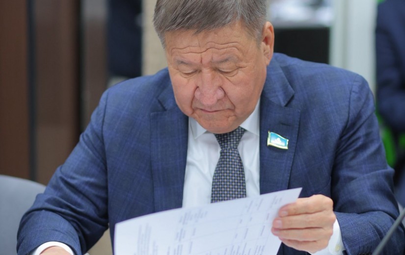 Ұлттық жобаны іске асырудағы маңызды мәселелер мен алдағы қадамдар