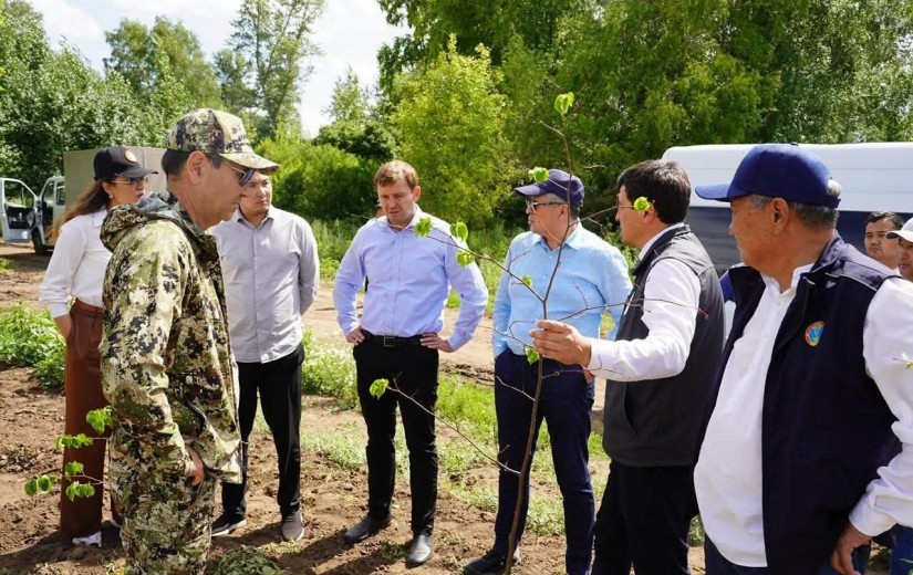 Мәслихат депутаттары «Астана-Зеленстрой» ЖШС-нің ағаш-бұта көшеттері питомнигіне барды