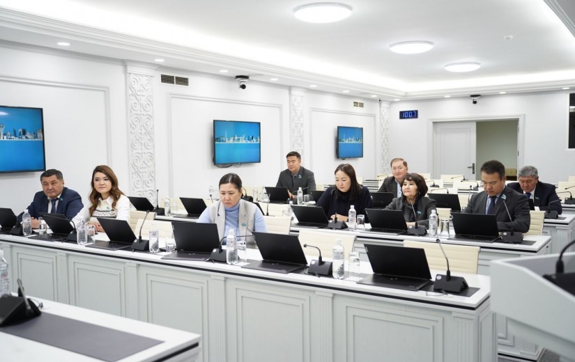 Депутаты рассмотрели проекты в сфере охраны окружающей среды и природопользования на 2026-2028 годы