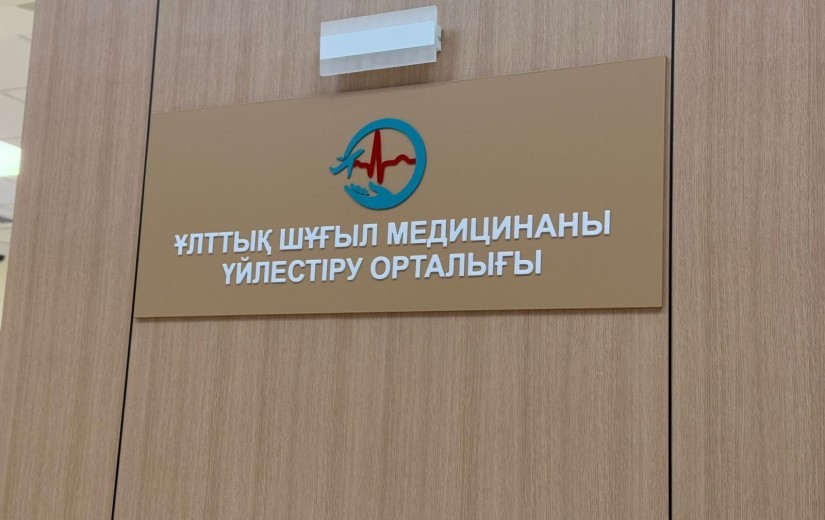 Елорда тұрғындарына көрсетілетін медициналық қызметтер мәселесі көтерілді