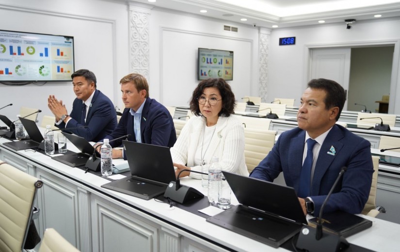 Реализация Комплексного плана по развитию системы здравоохранения столицы на 2023-2025 годы: здоровье матери и ребёнка