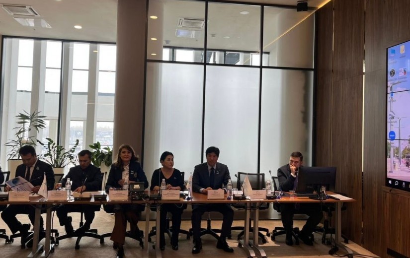 Депутаттар елорда әуежайын дамыту мәселелерін талқылады