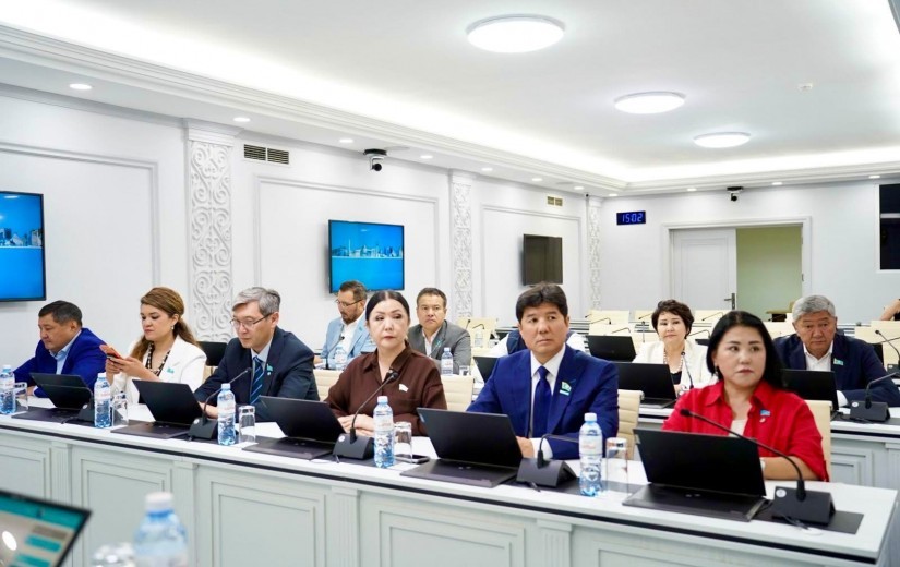 Нүктелі құрылыс, Бас жоспар мен Егжей-тегжейлі жоспарлау жобасының сақталуы мәселелері бойынша көпшілік тыңдаулар