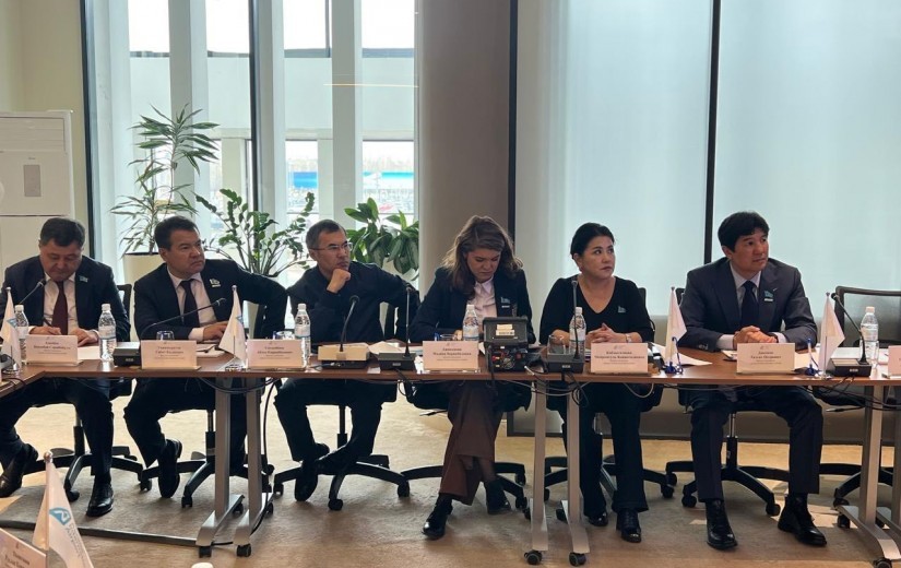 Депутаттар елорда әуежайын дамыту мәселелерін талқылады